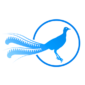Liarbird